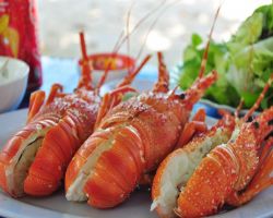 ĐẢO BÌNH HƯNG – ĐẢO TÔM HÙM - 2 NGÀY 1 ĐÊM