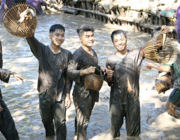 ĐỒNG THÁP- CẦN THƠ - 2 NGÀY 1 ĐÊM