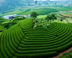 SẮC MÀU TÂY BẮC: SƠN LA - ĐIỆN BIÊN - HÀ NỘI 4 NGÀY 3 ĐÊM