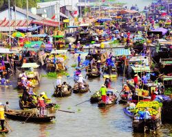 ĐỒNG THÁP- CẦN THƠ - 2 NGÀY 1 ĐÊM