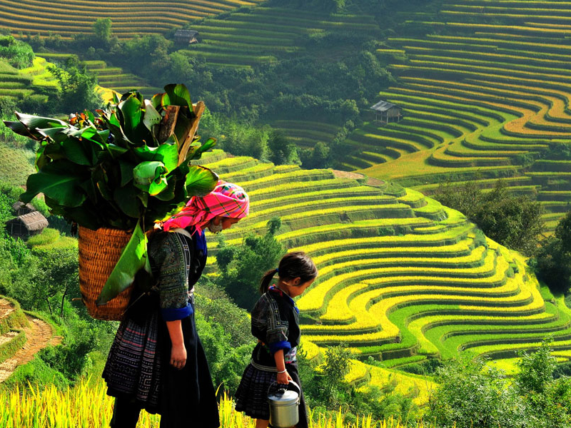 Hà Nội - Lào Cai - Sapa