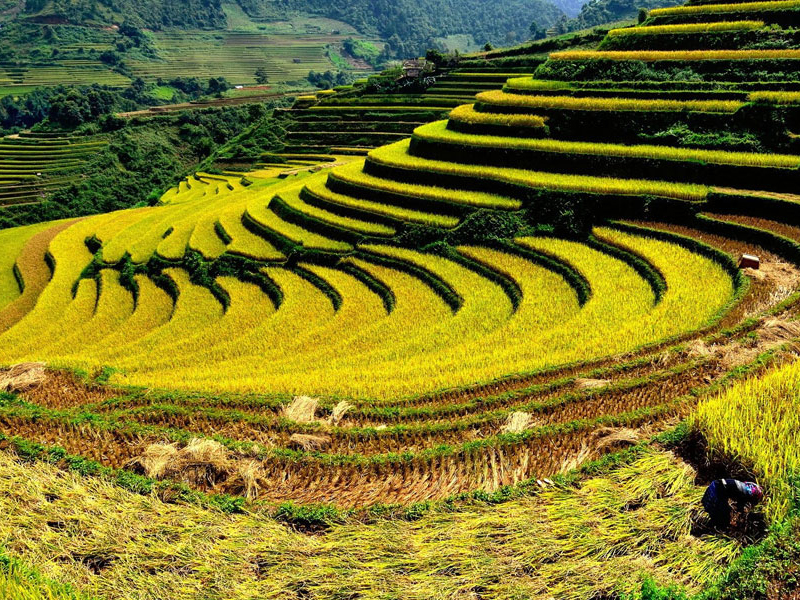 Hà Nội - Ninh Bình - Hạ Long - Sapa