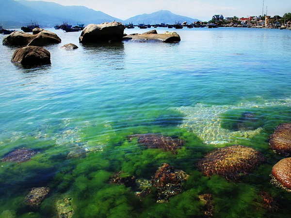 DU LỊCH ĐẢO BÌNH BA - NHA TRANG